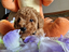 Immagine 4