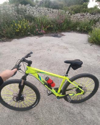 MTB lombardo