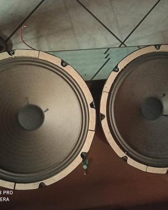coppia woofer da 32 cm, celestion ,,perfetti