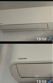 Toshiba più divani Shaw Dax