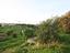 Immagine 26
