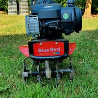 Motozappa MZ 32630 BLUEBIRD -  Briggs&Stratton