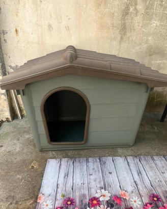 Cuccia per cane