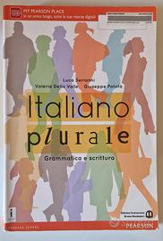 Italiano plurale - grammatica e scrittura