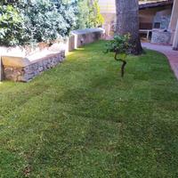 Appartamento vista mare