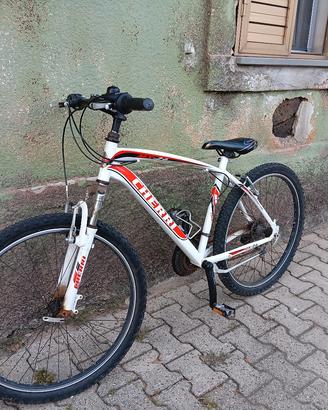 bici cherry M-X26 