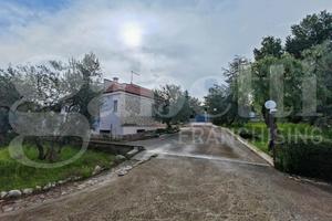 Villa o villino Trani [Cod. rif 3280049VRG]