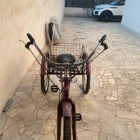 bici triciclo per adulti