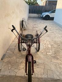 bici triciclo per adulti