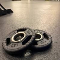 Dischi ghisa gommati