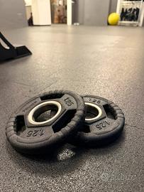 Dischi ghisa gommati