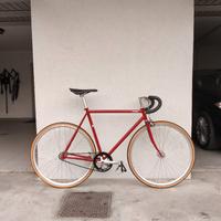 Fuji Feather scatto fisso/single speed