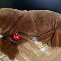 Peluches Tricheco Trudi