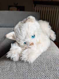 Raro Gatto Peluche JOCKLINE Vintage Anni 80 