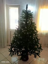 Albero di Natale 