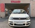 fiat-panda-1-2-dynamic-solo-per-export-