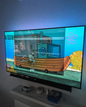 TV OLED 55" Loewe 4K UHD - Design Premium