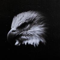 Quadro Fotografico Retroilluminato