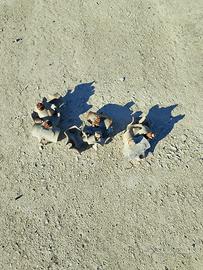 Montanti per carpenteria in legno e giunti