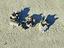 Immagine 1
