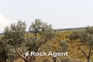 Terreno di 3600 m² a Siderno