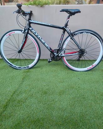 BICI DA CORSA IN CARBONIO 
