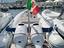 Immagine 1