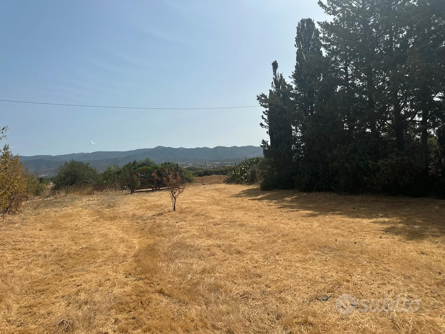 Terreno agricolo - Vista 5