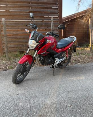 Honda cb125f cbf125 rossa 2019