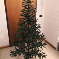 Albero di natale