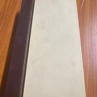 IL GIOCATORE F.Dostoevskij - G.Leopardi “Canti”