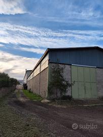 Capannone industriale