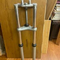 Forcelle Ceriani arces