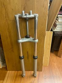 Forcelle Ceriani arces