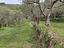 Immagine 15