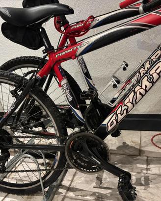 Bici olimpia