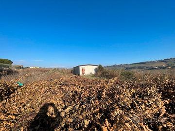 Accessorio e terreno agricolo