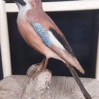 Scultura in dimensioni naturali di una ghiandaia