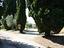 Immagine 9