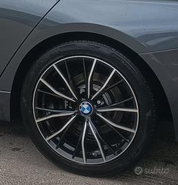 Cerchi in lega BMW.
