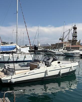 Fiart 33 seawalker