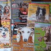 Rivista 4 zampe anno 2020