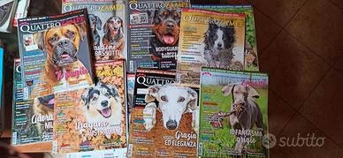 Rivista 4 zampe anno 2020