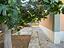 Immagine 27
