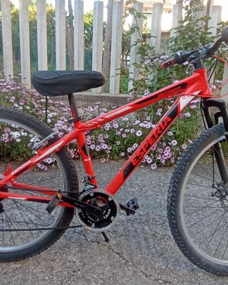 Bici Mountain bike 27.5 pollici