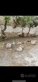 Straordinaria casa via cagliari 33 mondragone