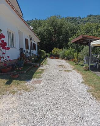 Appartamento arredato