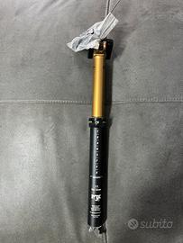 Fox Trasfer  kashima