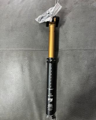 Fox Trasfer  kashima