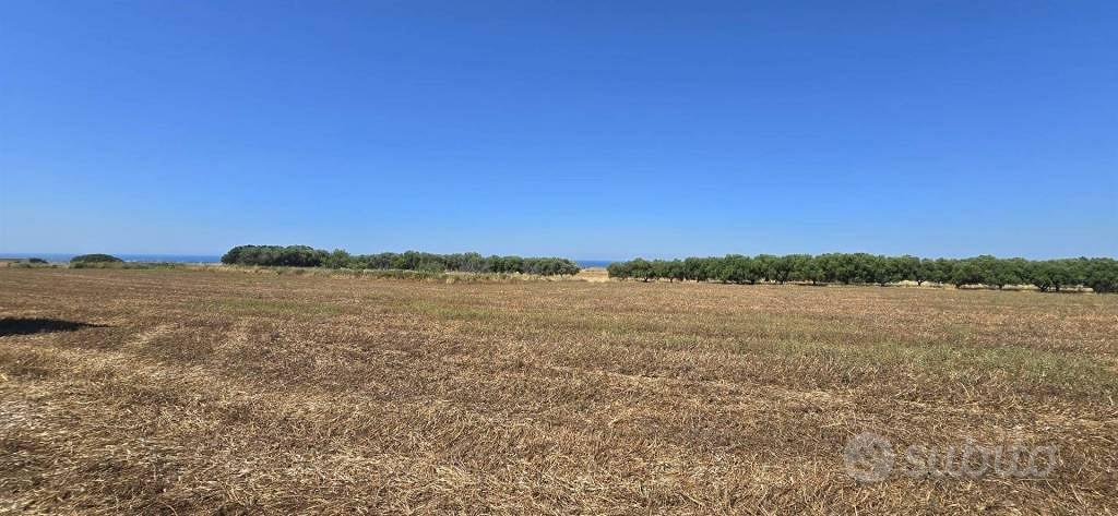 Terreno di 20000 m² a Tarquinia - Vista 3